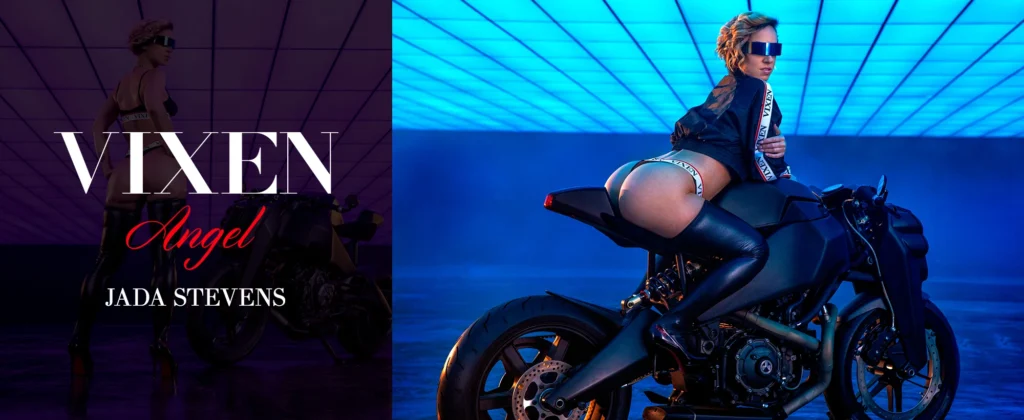 Vixen Media Group