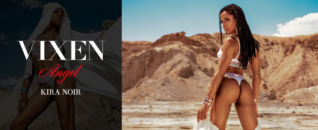 Vixen Media Group