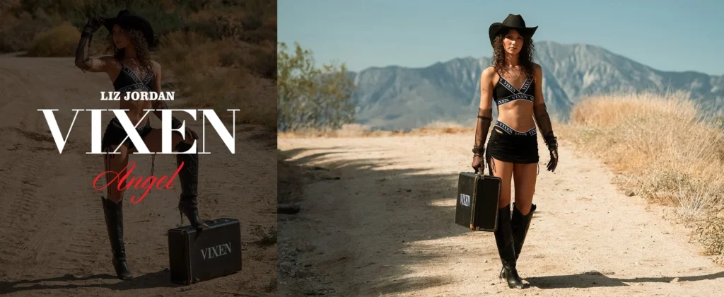Vixen Media Group