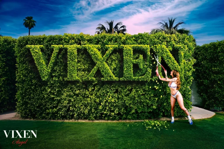 Vixen Media Group